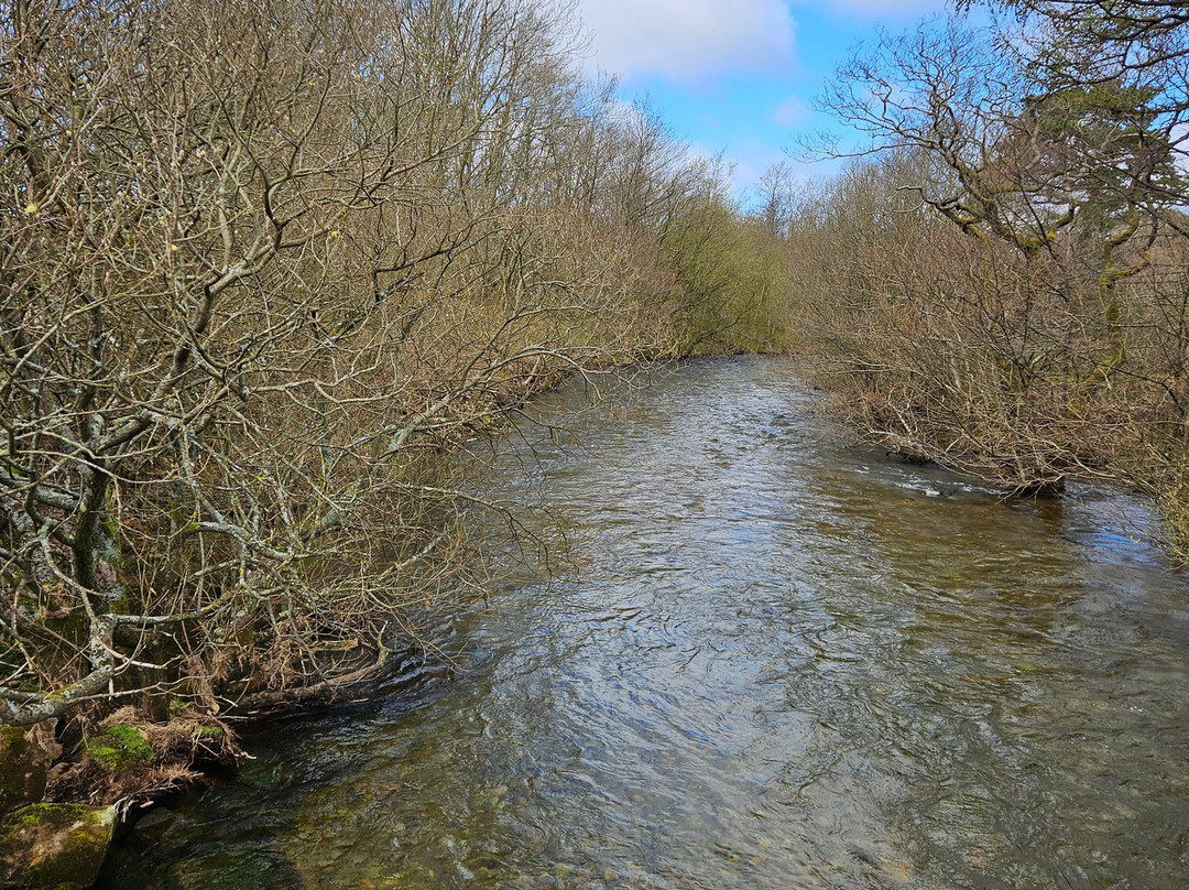 Ennerdale Water-Ennerdale Bridge必去景点