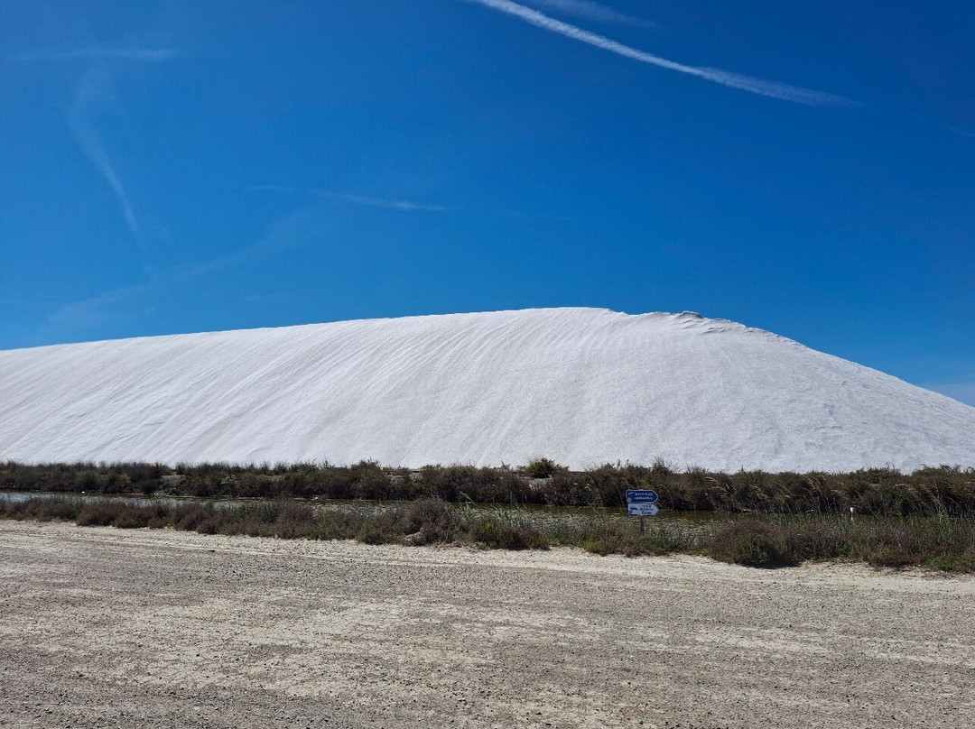 Salin d'Aigues-Mortes-艾格莫尔特必去景点