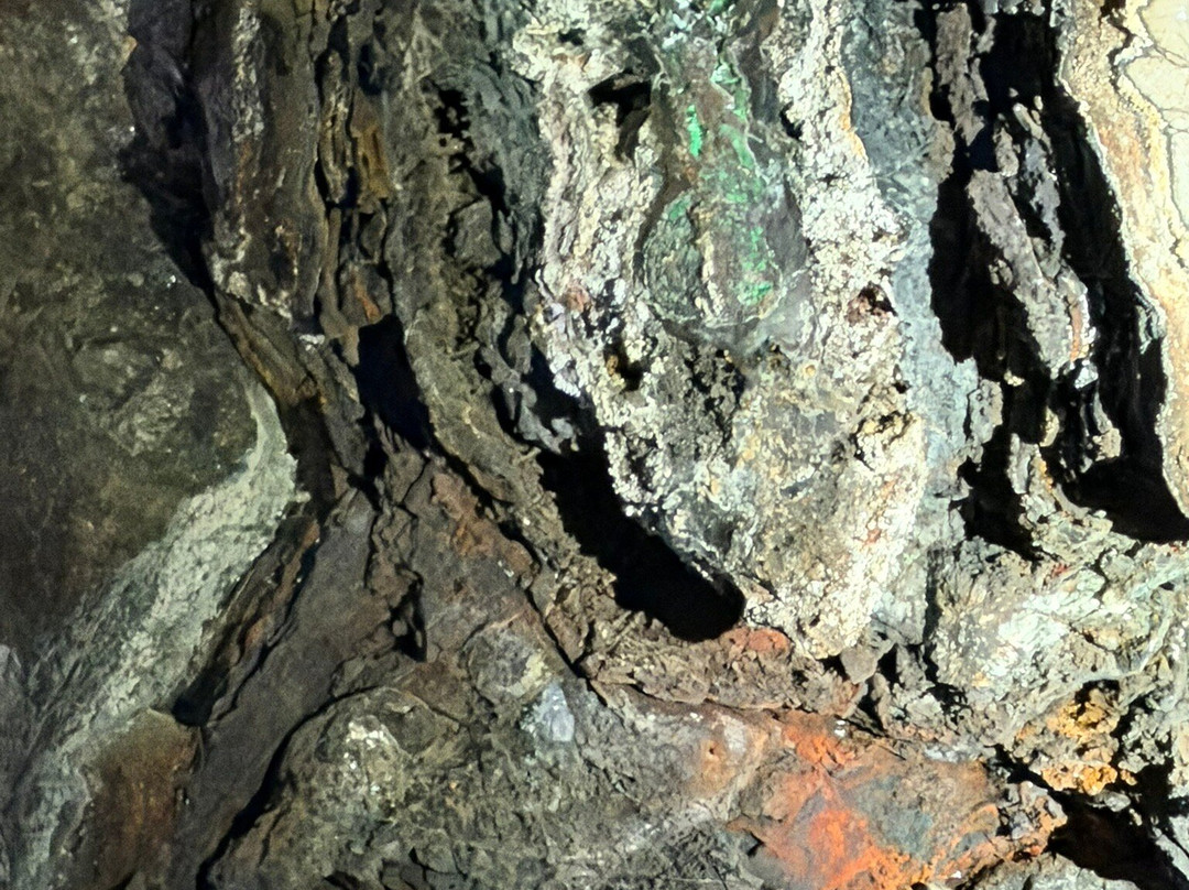 Copper Queen Mine Tour-比斯比必去景点