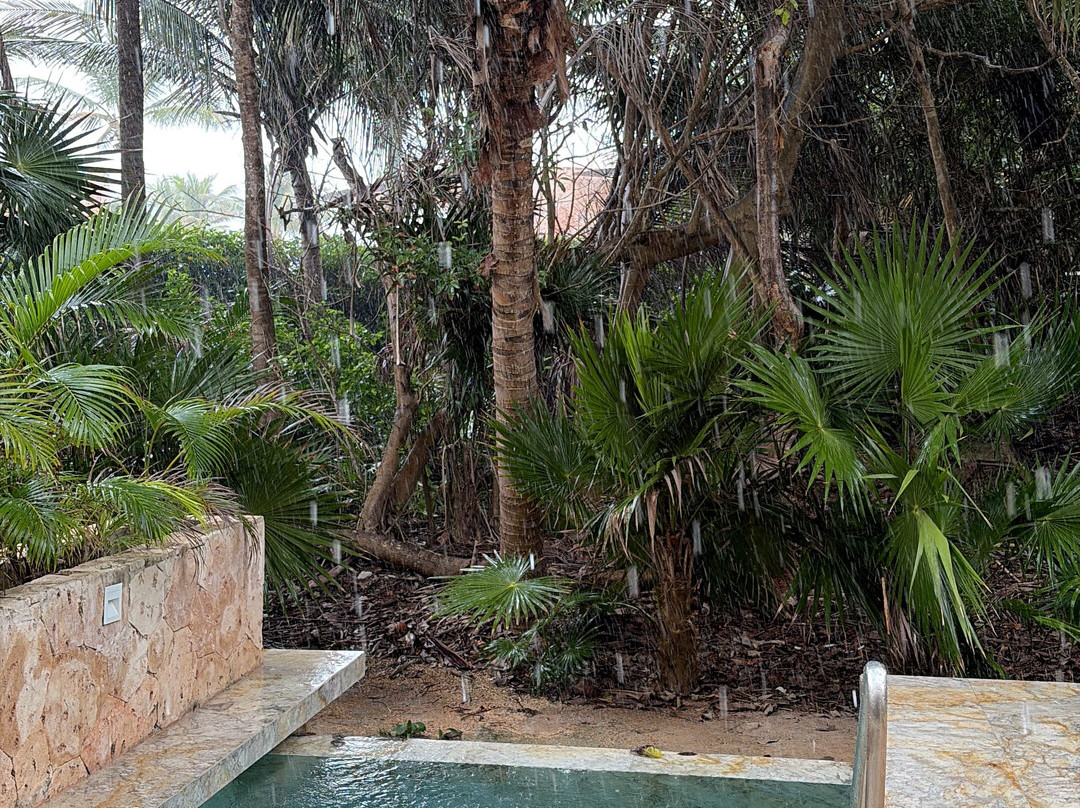 TRS Yucatan Hotel - Adults Only - All Inclusive