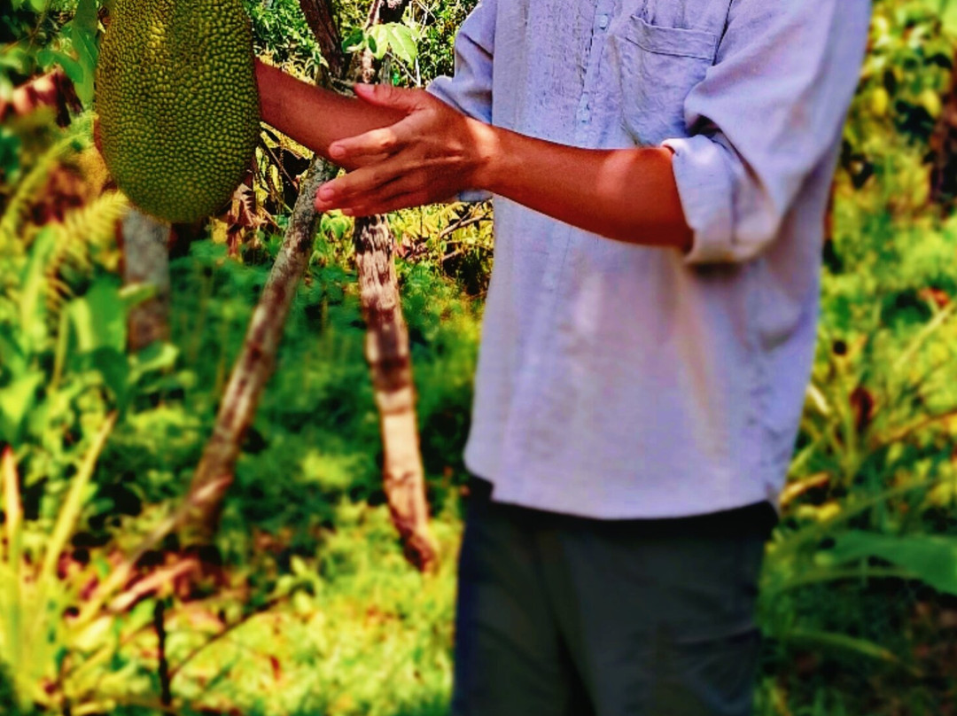 Phu Quoc Countryside-富国岛必去景点