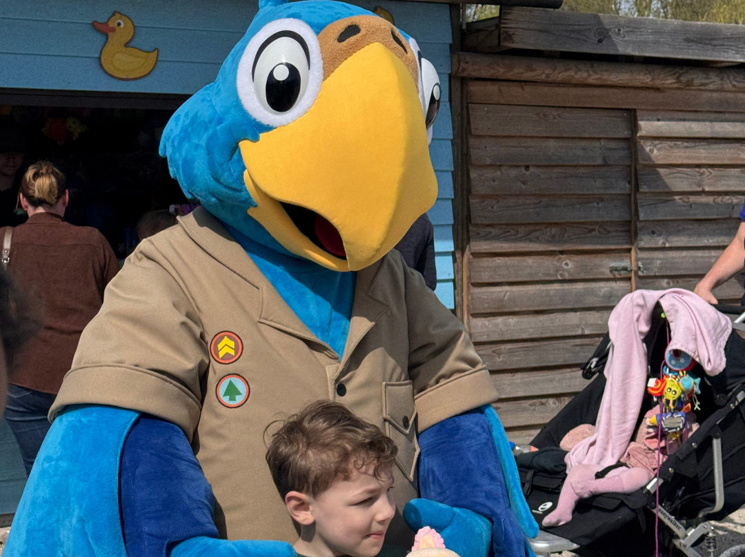 Jungle City-图尔奈必去景点