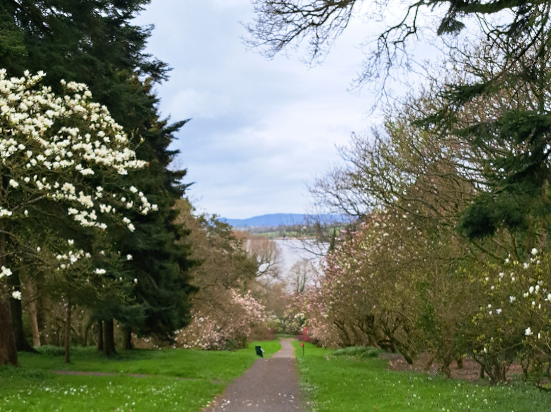 Mount Congreve Gardens-County Waterford必去景点