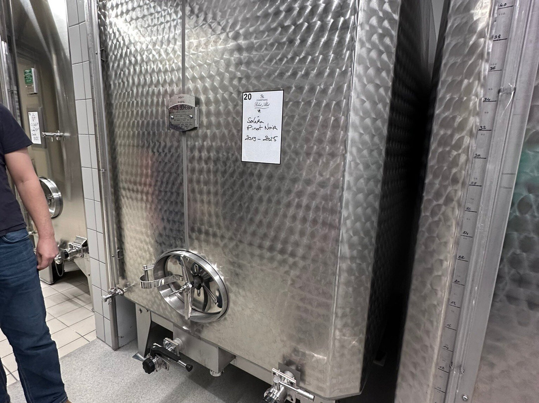 Champagne Robert-Allait-Villers-sous-Chatillon必去景点