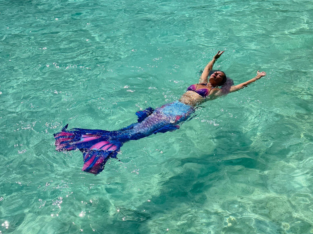 Euro-Divers Niva Kurumba Maldives-库鲁巴椰子岛必去景点