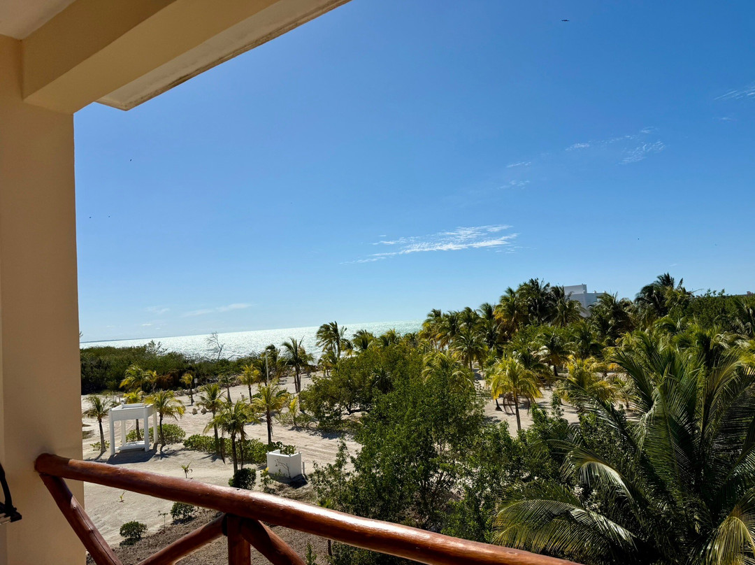 Atenea Holbox