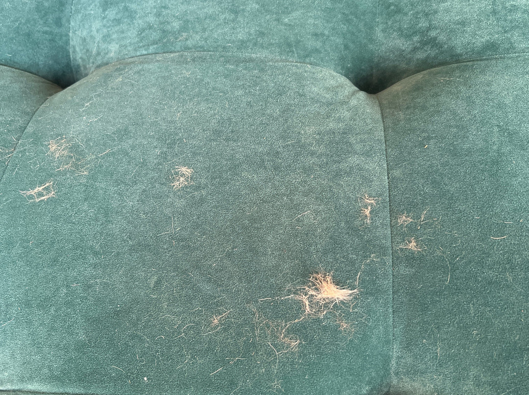 精选山度假村主图