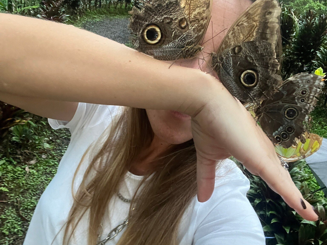 Mariposario Alas del Destino-圣卡洛斯必去景点