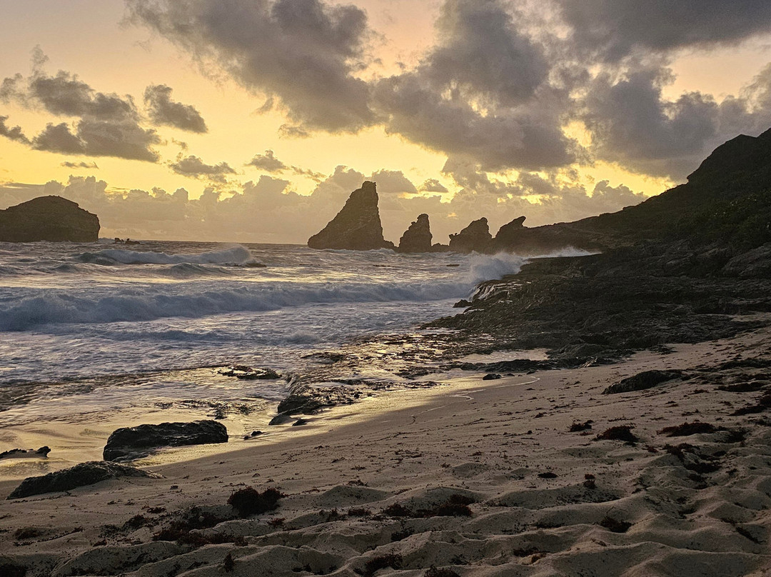 Flora Yoga-Saint Francois必去景点