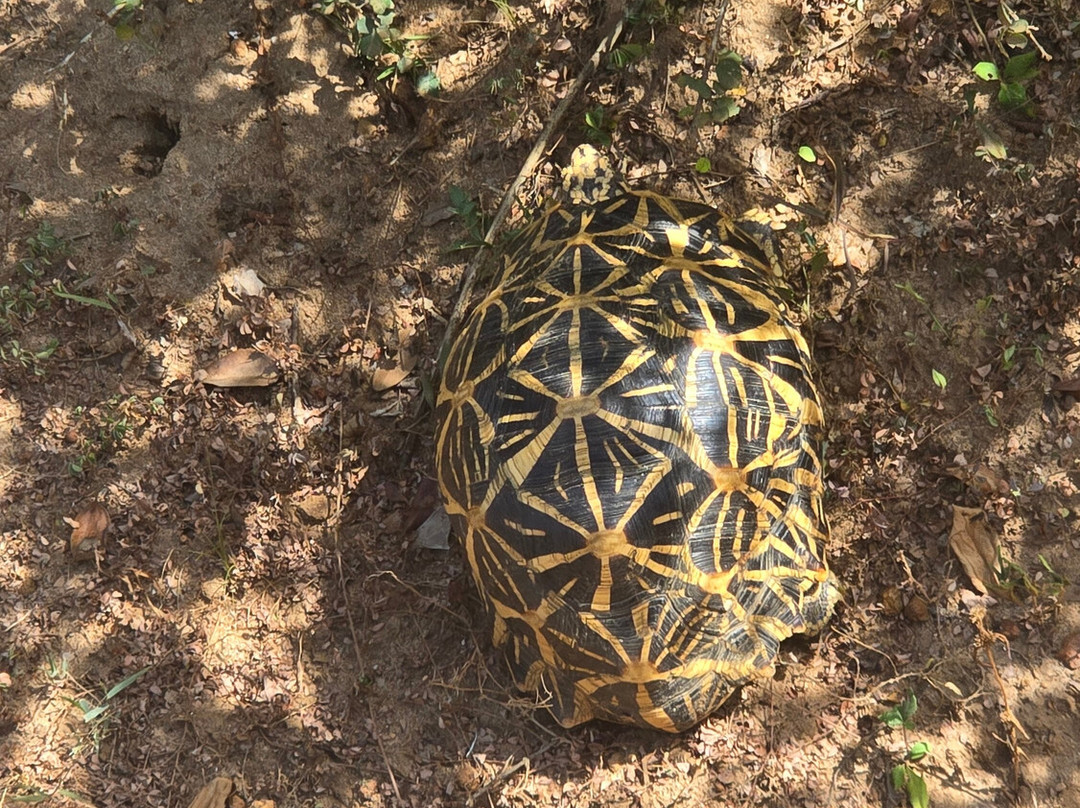 TRY LANKA TRAVEL-加勒必去景点