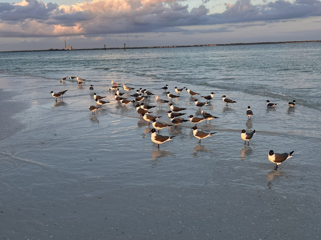 Spongeorama Sponge Factory-塔彭斯普林斯必去景点