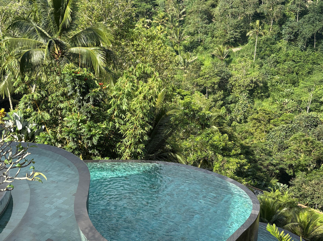 The Kayon Jungle Resort  (Adult Only)主图