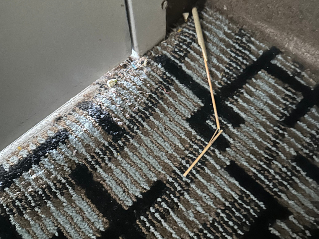 皮卡尤恩温德姆戴斯酒店主图