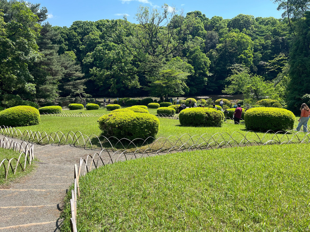 Meiji Shrine Imperial Garden-涩谷区必去景点