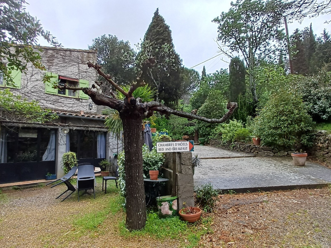 考林庄园酒店主图