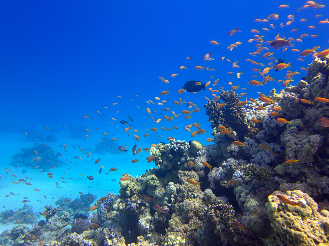 Egypt International-赫尔格达必去景点