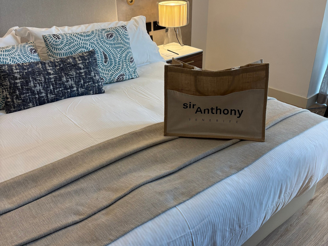 安东尼爵士酒店主图