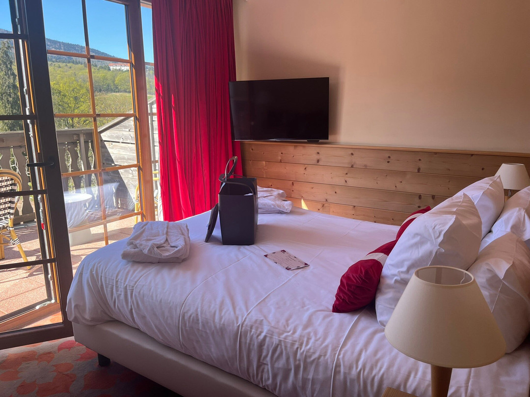 Hôtel & Spa les Violettes主图