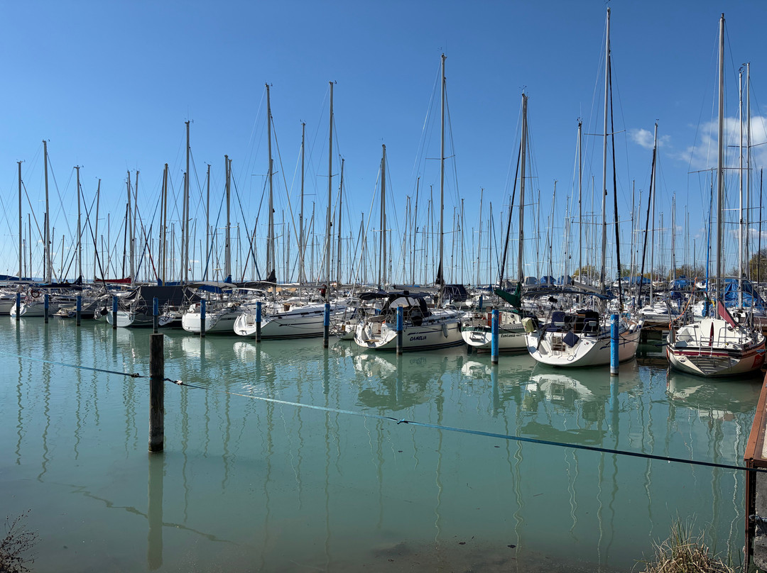 Széchényi Park, Balatonkenese-Balatonkenese必去景点