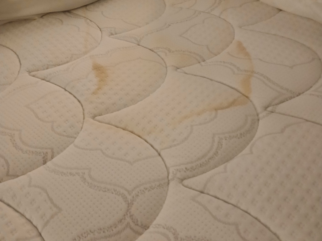 柯克伍德贝斯特韦斯特酒店主图