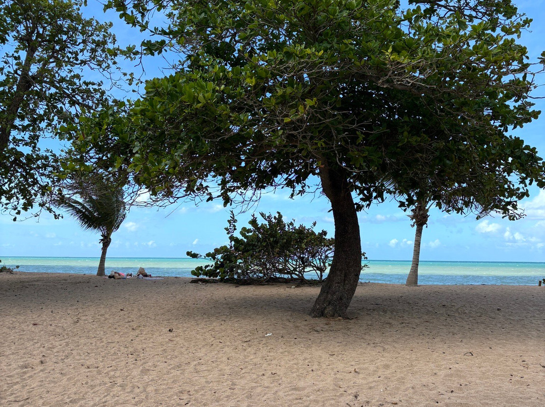 Plage Des Amandiers-Sainte Rose必去景点