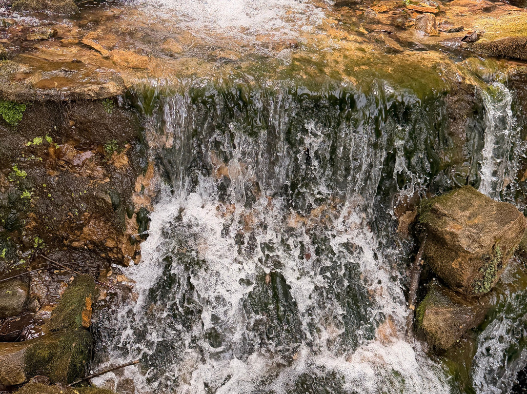 Dogwood Canyon Nature Park-Lampe必去景点