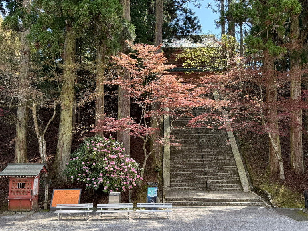 比睿山延历寺-大津市必去景点