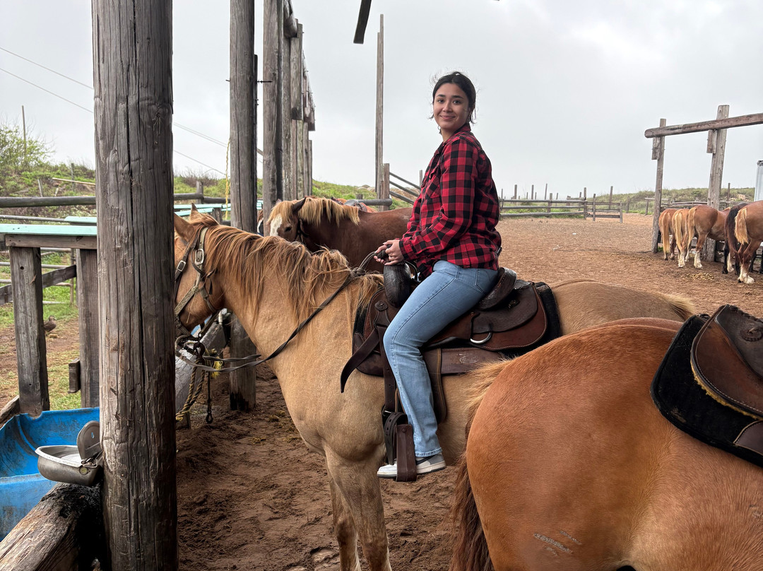 South Padre Island Adventure Park-南帕诸岛必去景点