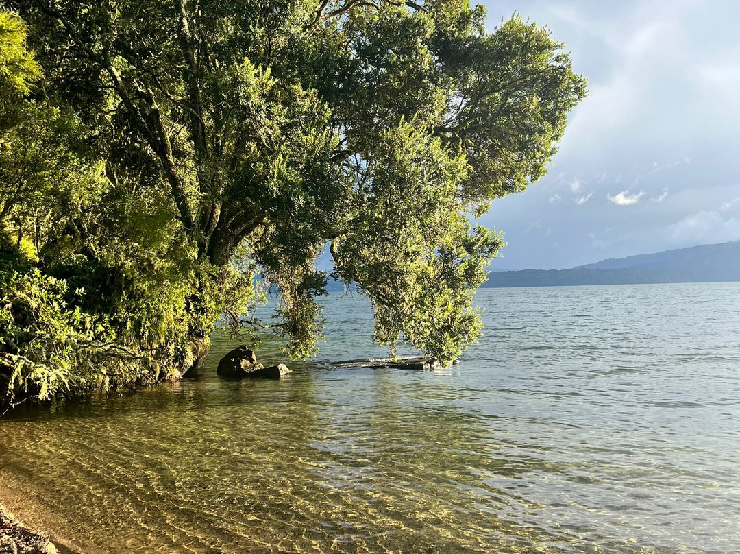 Totally Tarawera-Lake Tarawera必去景点