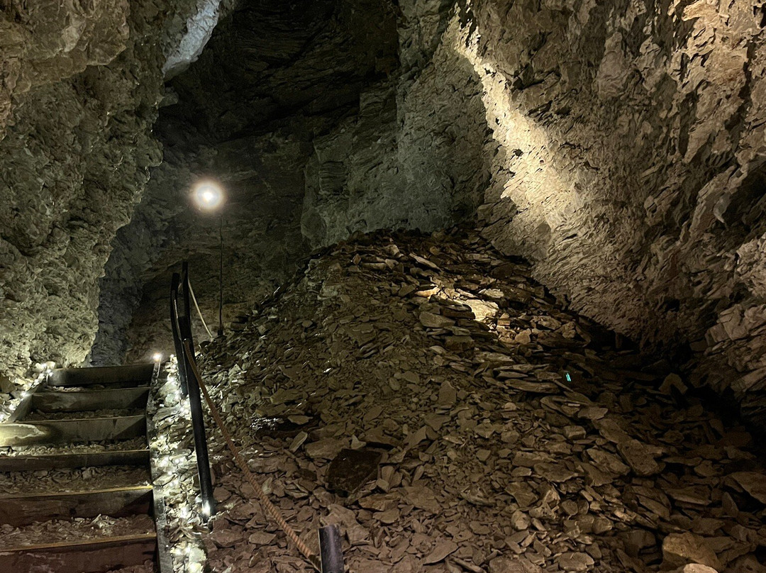 Kaikōura Cave Tours-Kaikoura必去景点