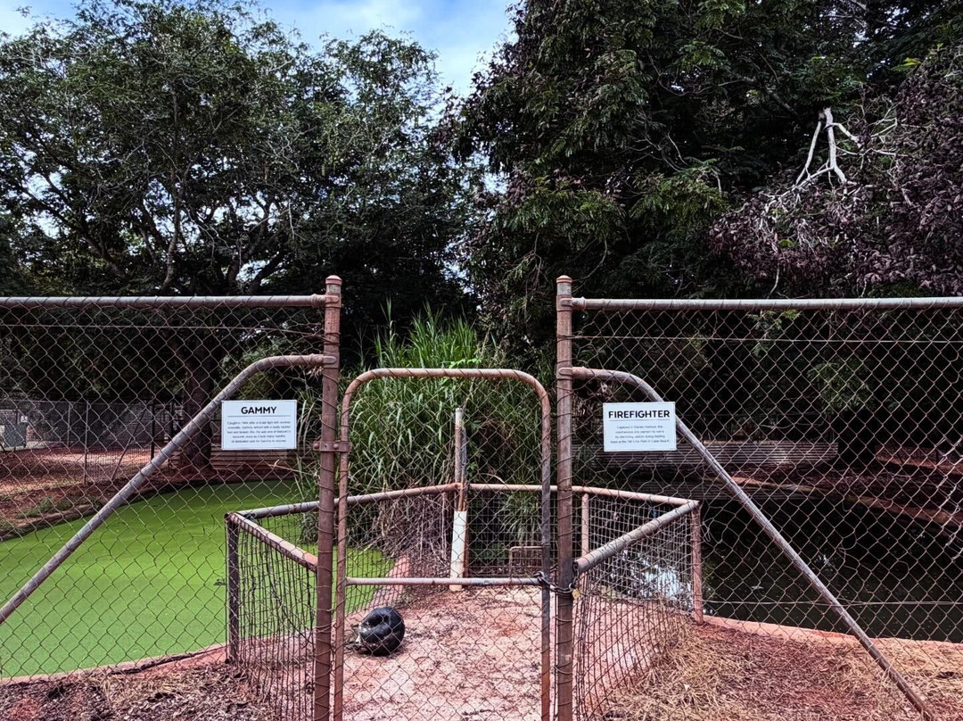 Malcolm Douglas Broome Crocodile Park-布鲁姆必去景点
