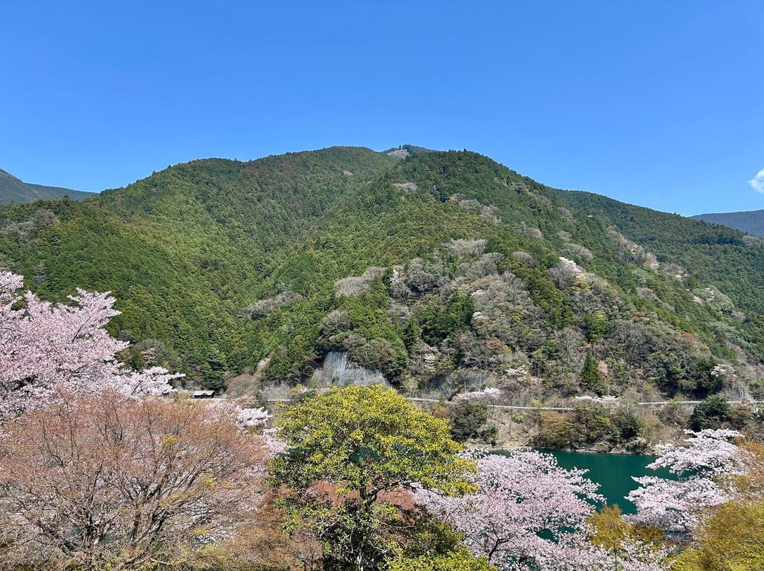 Suginoyu Kawakami Michi-no-Eki-川上村必去景点