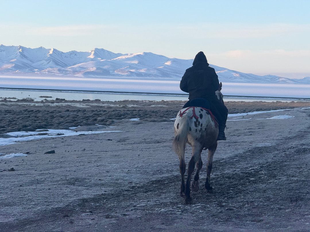 Askar Horse Riding Tour