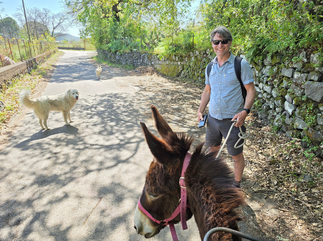 Etna Donkey Trekking-林瓜格洛萨必去景点