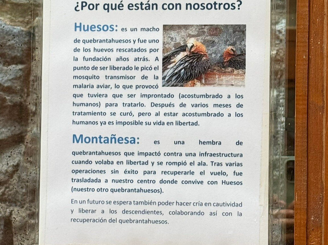Eco Museo-Centro de Visitantes-艾因萨必去景点