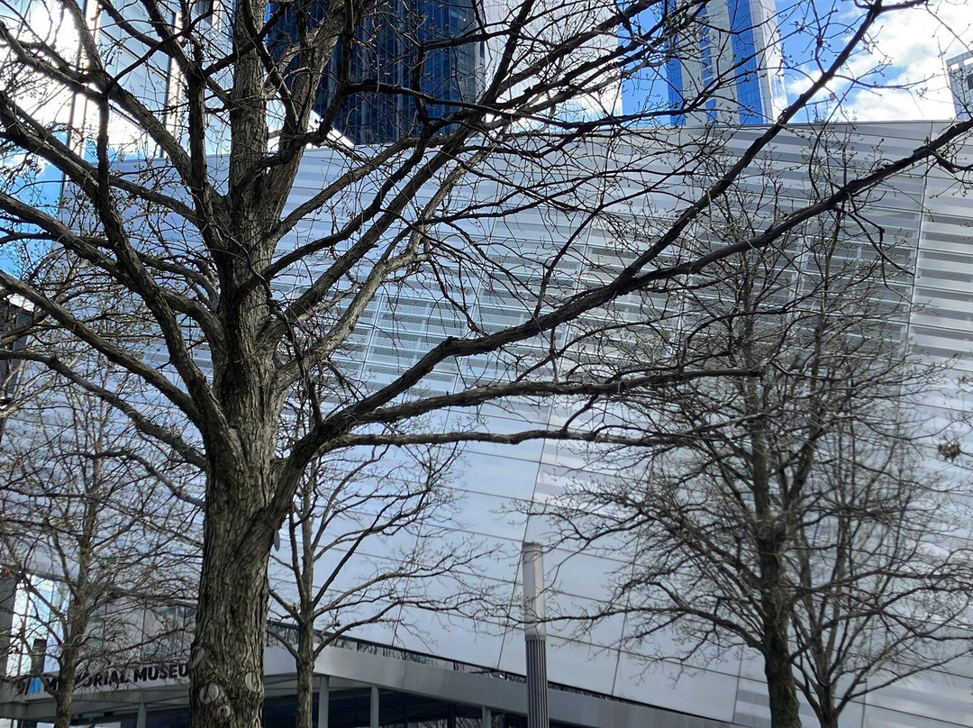 World Trade Center's Liberty Park-纽约市必去景点