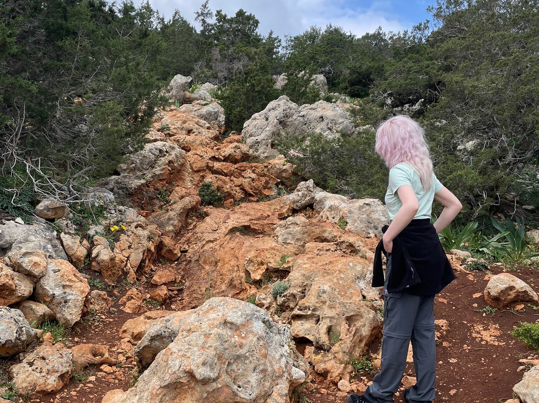 Aphrodite Trail-Latchi必去景点