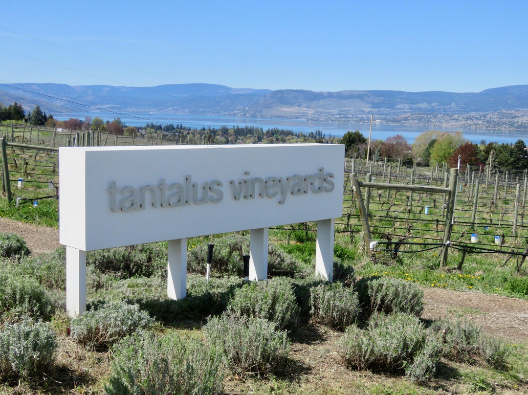 Tantalus Vineyards-基洛纳必去景点
