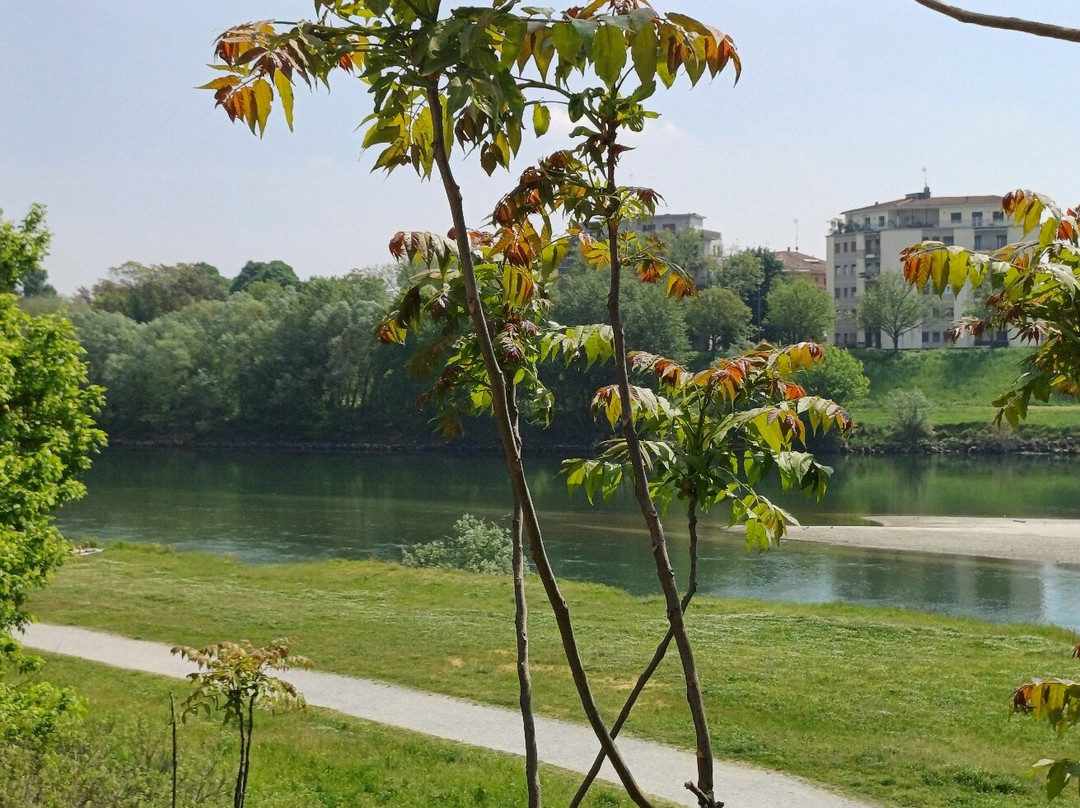 Fiume Ticino-帕维亚必去景点