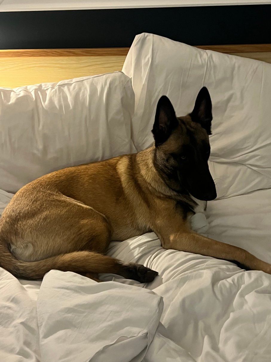 Travelodge Rugby Dunchurch Hotel-旅行者