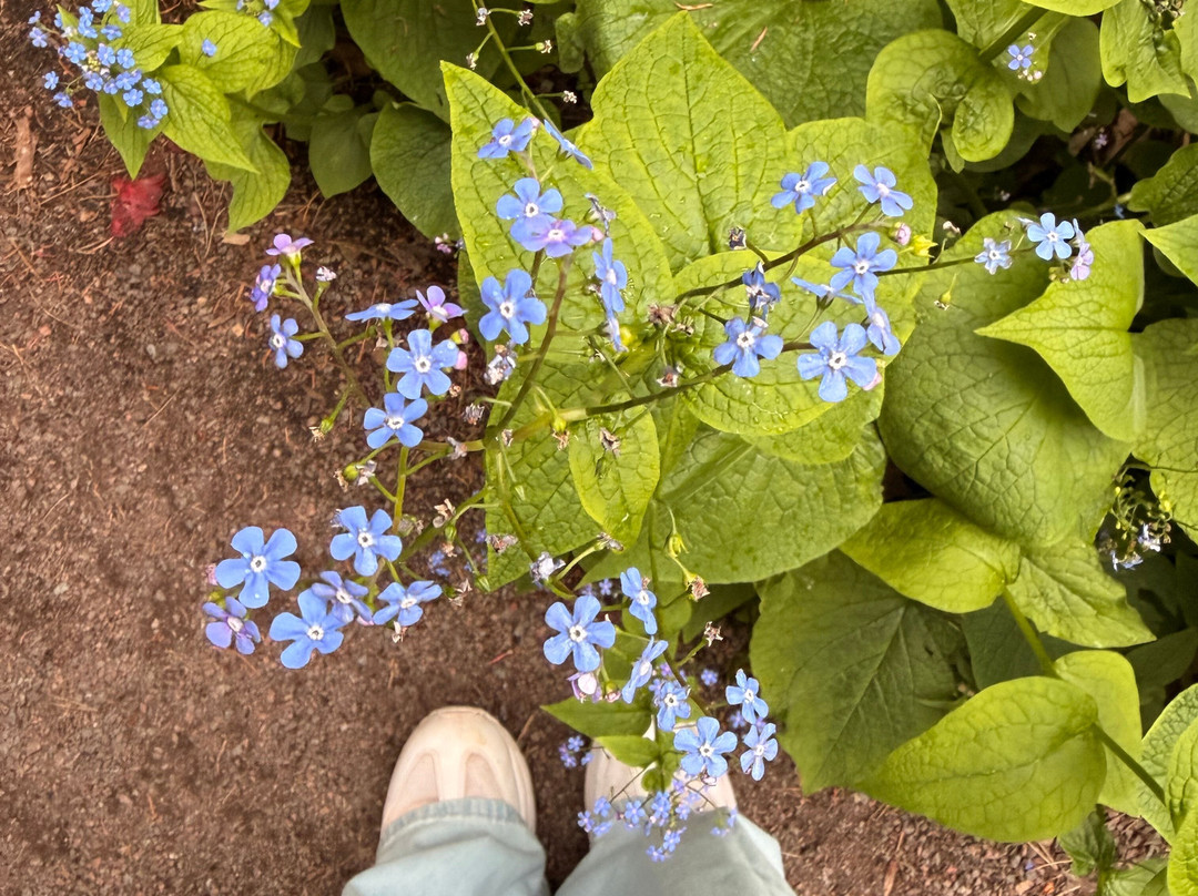 爱丁堡皇家植物园-爱丁堡必去景点