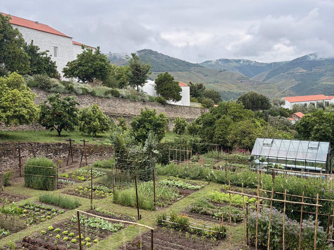 LAB Tours - Douro Valley Experiences-波尔图必去景点