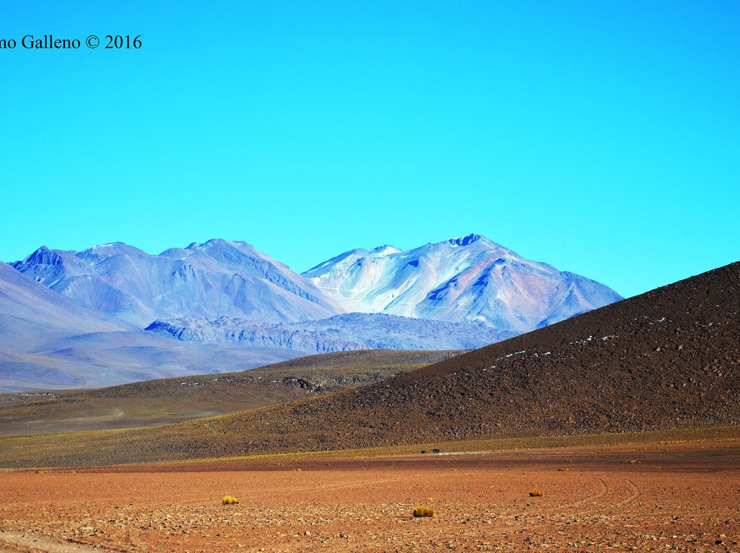 Eduardo Avaroa National Reserve of Andean Fauna-Potosi Department必去景点