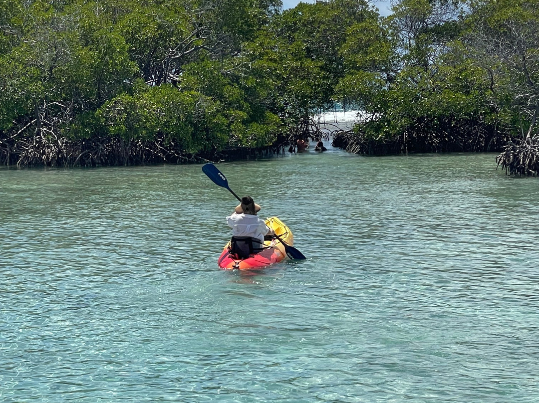 Parguera Water Sports-La Parguera必去景点