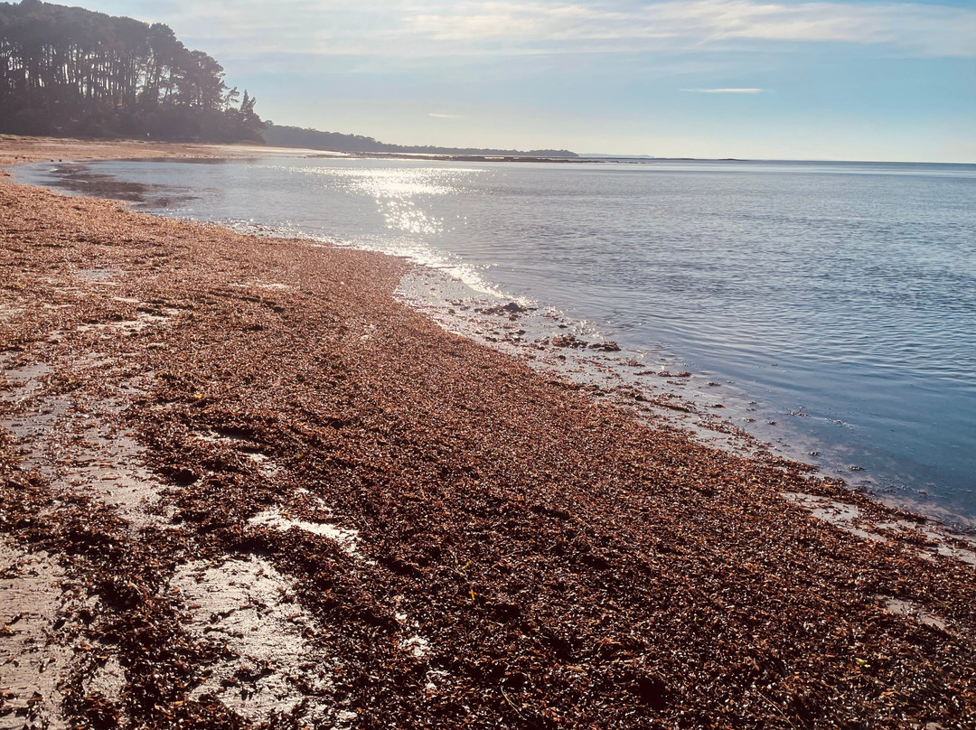 Shoreham Beach-Shoreham必去景点