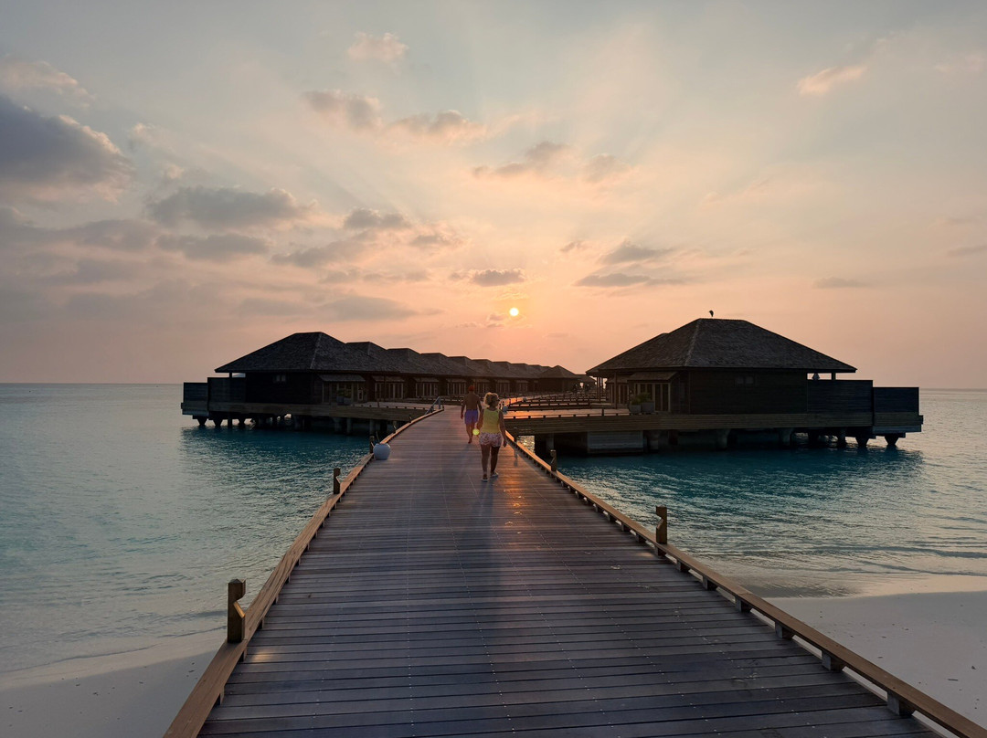 Nala Maldives By Jawakara主图
