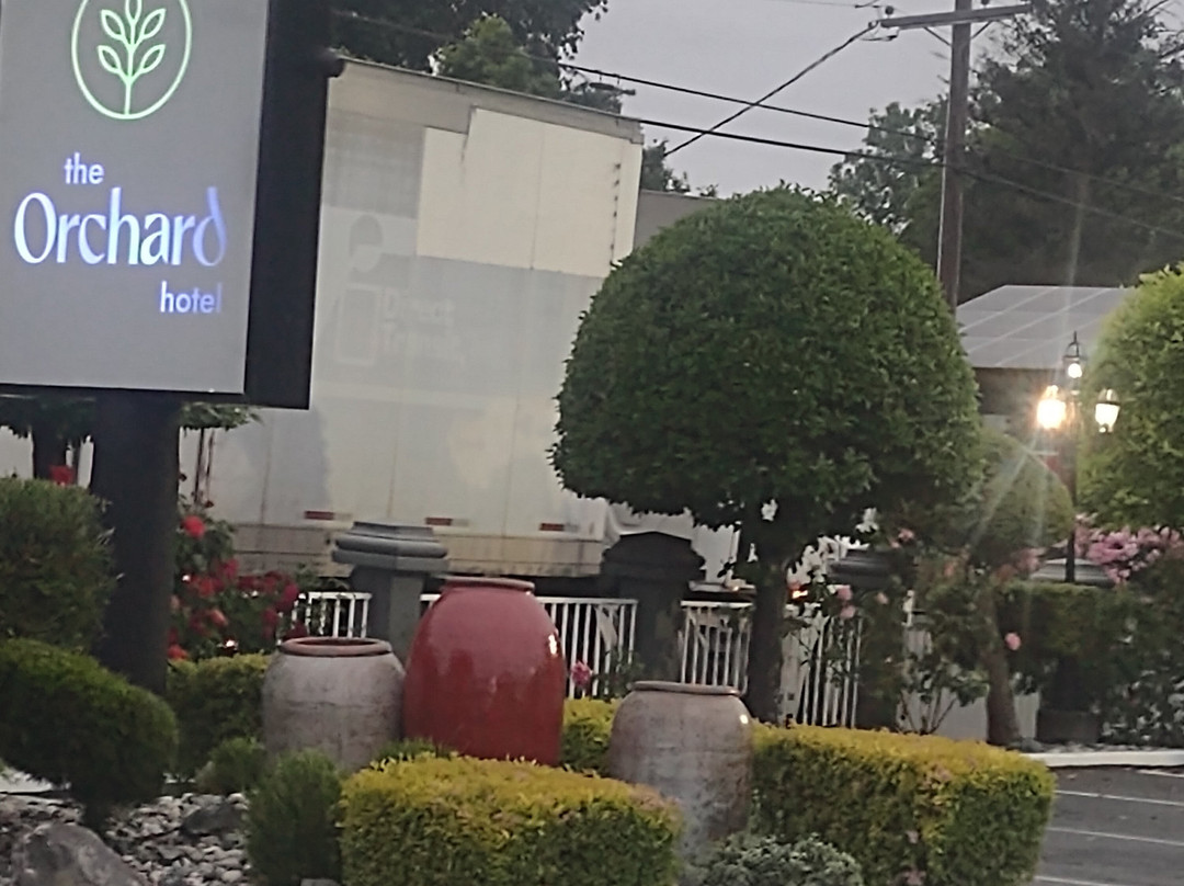 尤凯亚速 8 酒店(Super 8 By Wyndham Ukiah)主图