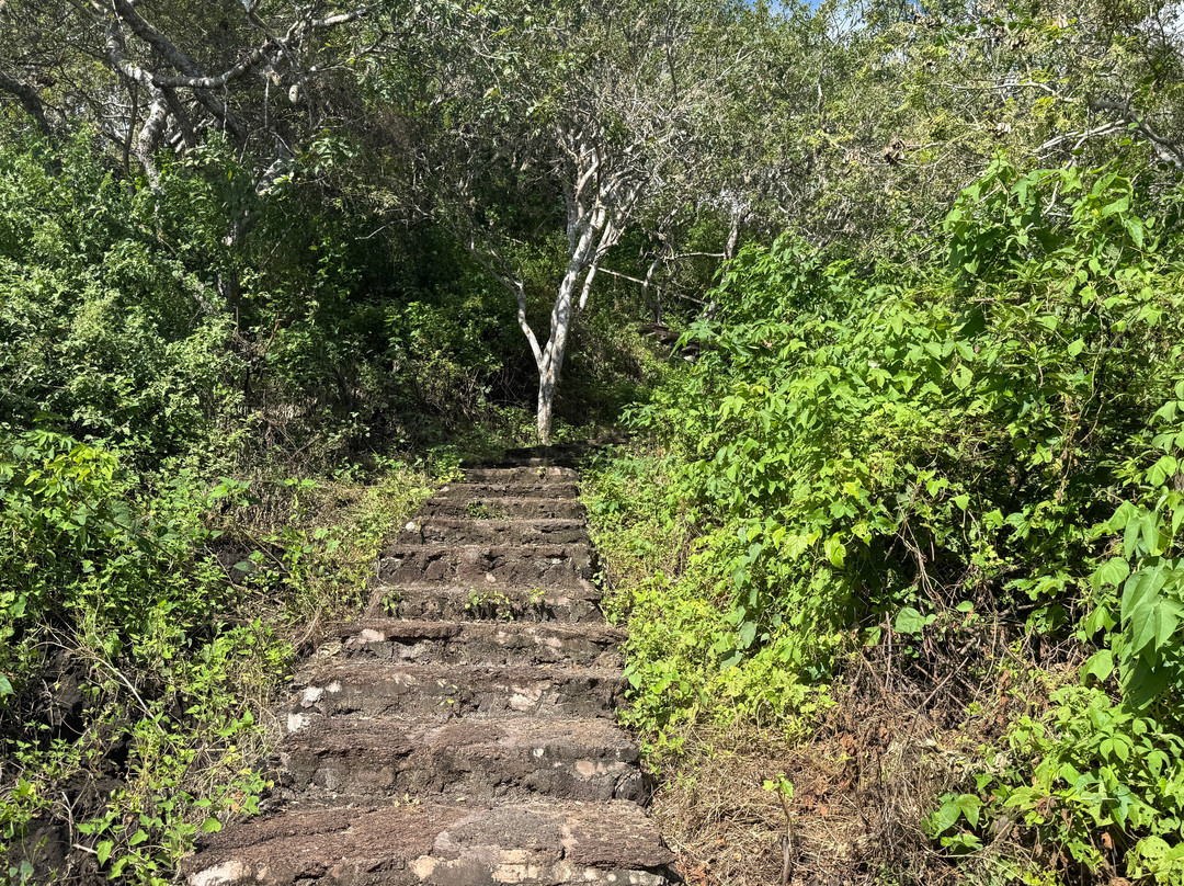 Cerro Tijeretas-Puerto Baquerizo Moreno必去景点