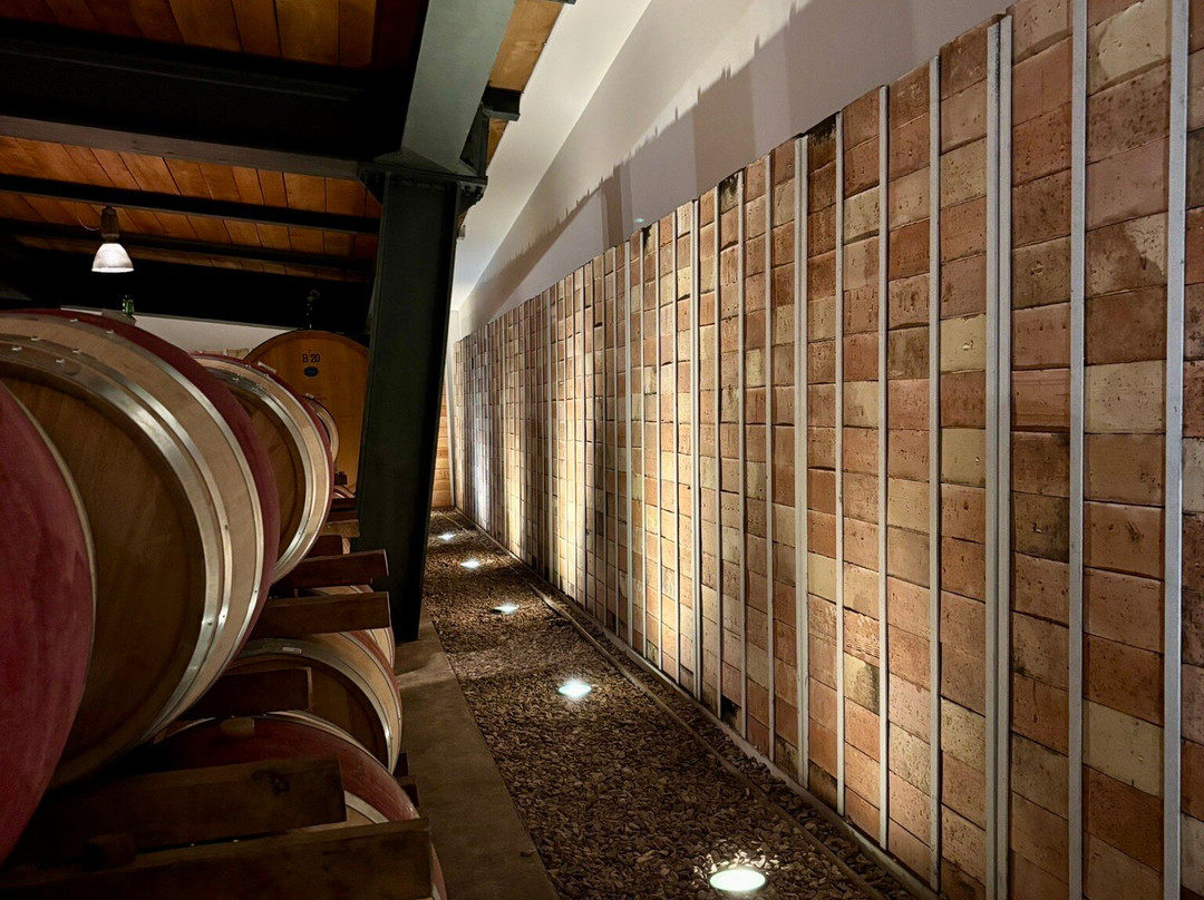 Umani Ronchi Winery-奥西莫必去景点