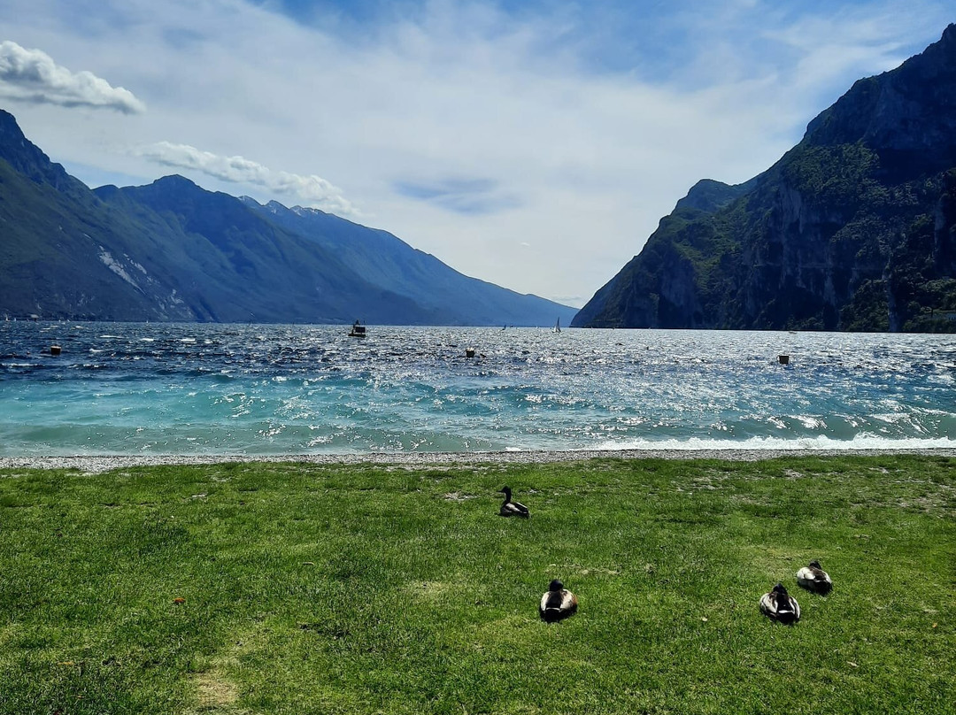 Sabbioni Beach-里瓦德尔加尔达必去景点